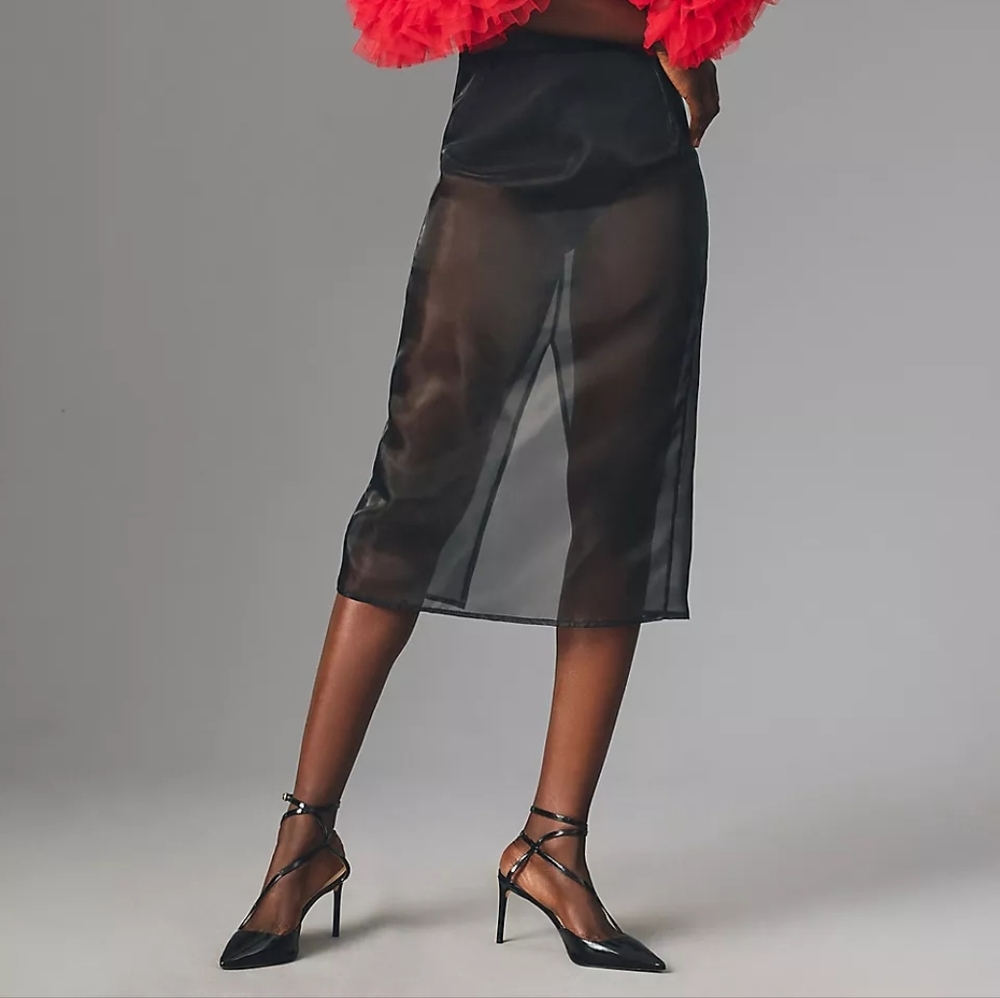 NWT Anthropologie Sunday in Brooklyn Sheer Skirt Midi Size L 90s Minimalist